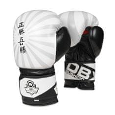 DBX BUSHIDO boxerské rukavice B-2v8 10 oz