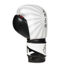 DBX BUSHIDO boxerské rukavice B-2v8 10 oz