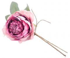MAGIC HOME Ruža rozvitá, tmavoružová, stonka, veľkosť kvetu: 11 cm, bal. 6 ks