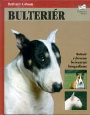 Bulteriér