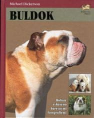 Buldok