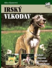 Irský vlkodav