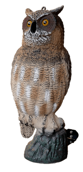 Harmony Trojrozmerný model dravého vtáka 53 cm, ukotvenie k bleskozvodu