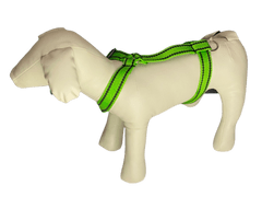Palkar Klasický postroj pre psov 52 cm - 90 cm veľ. 4 svetlo-zelená s páskami