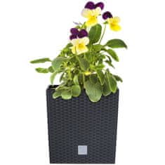 Prosperplast Květináč RATO LOW Plastové Obal 17 x 17 x 17 cm 4L - Antracit + Vklad/Vložka