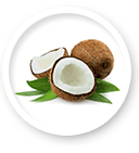 Elite4u Matrace s kokosovou vrstvou a pěnovým jádrem o rozměrech 90x40 výška 10 cm