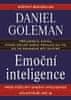 Daniel Goleman: Emoční inteligence - Proč může být emoční inteligence důležitější než IQ