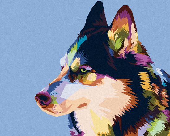 ZUTY Diamantové maľovanie - FAREBNÝ HUSKY 40x50 cm NO