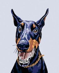 ZUTY Diamantové maľovanie - DOBERMAN YES 40x50 cm