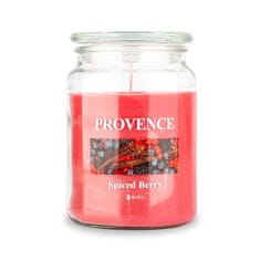 SVIEČKA V SKLE S VÍČKOM 510G SPICED BERRY,1 KNOT