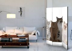 Artgeist Paraván - Sladké mačky 135x172 plátno na drevenom ráme obojstranná potlač