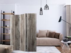 Artgeist Paraván - Štýlové drevo 135x172 plátno na drevenom ráme obojstranná potlač