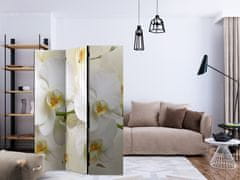 Artgeist Paraván - Orchideová vetva 135x172 plátno na drevenom ráme obojstranná potlač