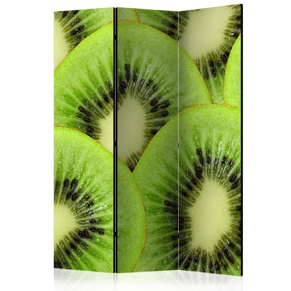 Artgeist Paraván - Kiwi plátky 135x172 plátno na drevenom ráme obojstranná potlač