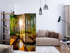 Artgeist Paraván - Zázračný les 135x172 plátno na drevenom ráme obojstranná potlač
