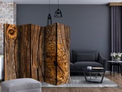 Artgeist Paraván - Starý strom II 225x172 plátno na drevenom ráme obojstranná potlač