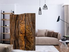 Artgeist Paraván - Starý strom 135x172 plátno na drevenom ráme obojstranná potlač
