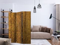 Artgeist Paraván - Zlatá komora 135x172 plátno na drevenom ráme obojstranná potlač