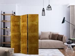Artgeist Paraván - Zlatá klietka 135x172 plátno na drevenom ráme obojstranná potlač