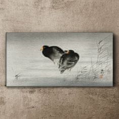 COLORAY.SK Obraz Canvas Zvieratá Vtáčia voda 120x60 cm