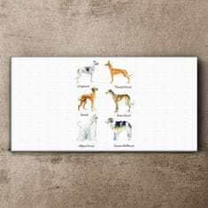 COLORAY.SK Obraz Canvas psy zvieratá 140x70 cm