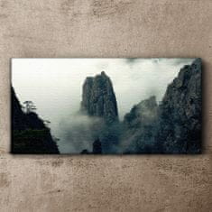 COLORAY.SK Obraz canvas Mountain fog hmlou strom mraky 120x60 cm