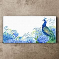 COLORAY.SK Obraz canvas Kvety vták Peacock 100x50 cm