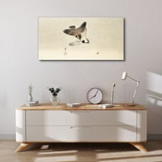 COLORAY.SK Obraz Canvas Zvieratá Vrabci vrabci 100x50 cm