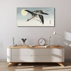 COLORAY.SK Obraz Canvas Zvieratá vtáky nebeské slnko 100x50 cm