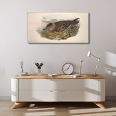 COLORAY.SK Obraz Canvas Vtáky béžová zvieratá 100x50 cm