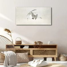 COLORAY.SK Obraz Canvas Zvieratá vtáky husia obloha 100x50 cm