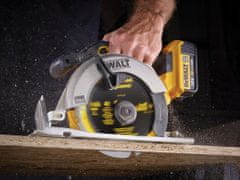 DeWalt Kotúčová píla 160x20mm vidlica EXTREME DT1470