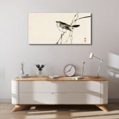 COLORAY.SK Obraz Canvas Pobočky živočíšneho vtáka 100x50 cm