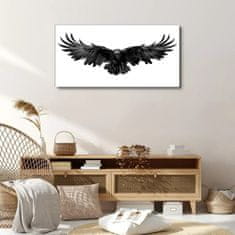 COLORAY.SK Obraz Canvas Zvieracie vták havran 100x50 cm