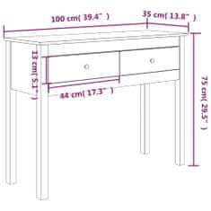 Petromila vidaXL Konzolový stolík sivý 100x35x75 cm masívne borovicové drevo