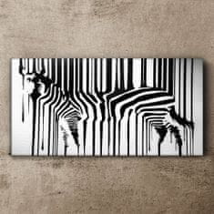 COLORAY.SK Obraz Canvas zebra 100x50 cm