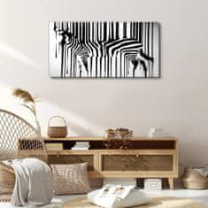 COLORAY.SK Obraz Canvas zebra 100x50 cm