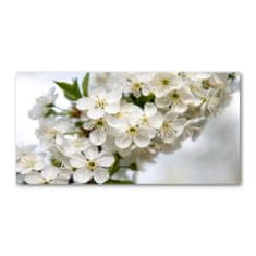 Wallmuralia.sk Foto obraz akryl do obývačky Kvety višne 140x70 cm 2 prívesky