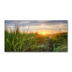 Wallmuralia.sk Foto obraz akryl do obývačky Pole pšenice 120x60 cm 2 prívesky