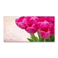 Wallmuralia.sk Foto obraz akrylový na stenu Ružové tulipány 100x50 cm 2 prívesky