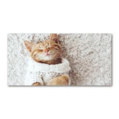 Wallmuralia.sk Foto obraz akryl do obývačky Mačka vo svetri 100x50 cm 2 prívesky