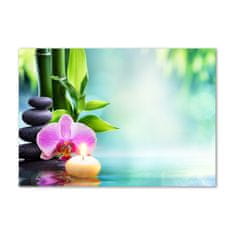 Wallmuralia.sk Foto obraz akryl do obývačky Orchidea bambus 120x60 cm 2 prívesky