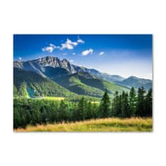 Wallmuralia.sk Foto obraz akryl do obývačky Skokanský mostík Tatry 125x50 cm 2 prívesky