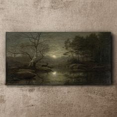 COLORAY.SK Obraz canvas Mesiac strom prírodné rieka 100x50 cm