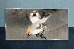 COLORAY.SK Sklenený obraz Ázie pobočky zvierat vtákov 100x50 cm