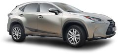 Rider Ochranné lišty bočných dverí, Lexus NX, 2014-2021