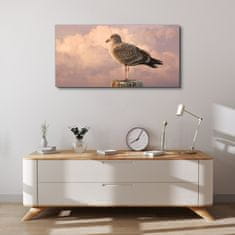 COLORAY.SK Obraz canvas Zvieracie vták Seagull Nebo 100x50 cm