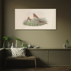 COLORAY.SK Skleneny obraz Vtáky béžová zvieratá 100x50 cm