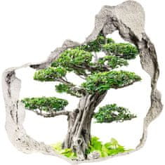 Wallmuralia.sk Diera 3D fototapety nálepka Bonsai strom 125x125 cm