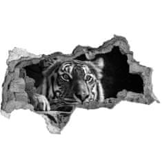 Wallmuralia.sk Diera 3D fototapeta nálepka Tiger 150x115 cm